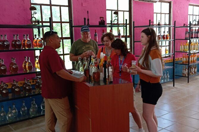 Visit the ancient Mayan ruins and the best beaches in Cozumel - Transportation, Timing, and Group Dynamics