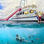 Waikiki Snorkeling & Ocean Waterpark Adventure from Oahu - Who Is This Tour Best For?