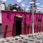 Walking Tour Experience in Ajijic Mexico - Practical Details and Logistics