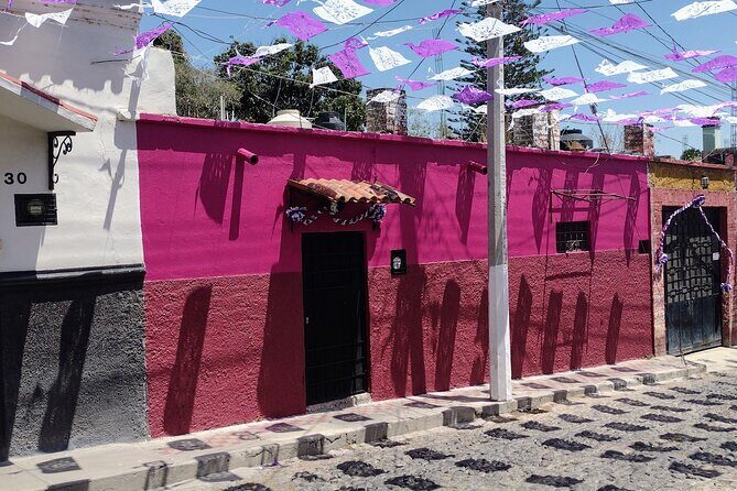 Walking Tour Experience in Ajijic Mexico - Practical Details and Logistics