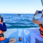 Whale Tour c/ Certified Guide, Photos & Hydrophone - Is the Price Worth It?