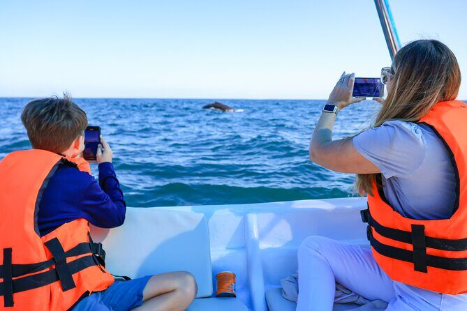 Whale Tour c/ Certified Guide, Photos & Hydrophone - Is the Price Worth It?