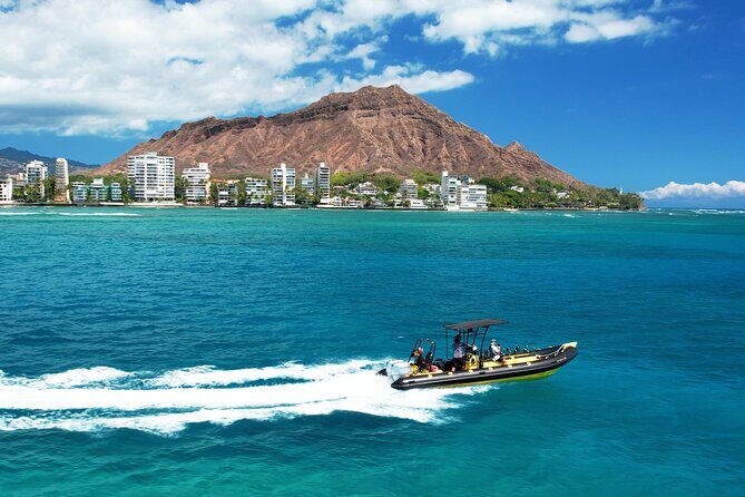 Whale Watching Adventure -Speed Boat & Small Group - Authentic Marine Encounters and Expert Guidance