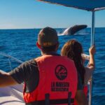 Whale Watching Experience in Cabo San Lucas 2 hours - Why This Tour Could Be a Great Choice