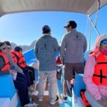 Whale Watching Tour - What Reviewers Say