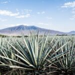 White Sands National Park Self-Guided Driving & Walking Tour - Final Thoughts: Is It Worth It?