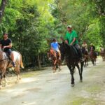 Wonderful Jungle Experience with Horse Riding, ATV, Ziplines and Cenote - Practical Details and Tips