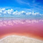 Wonderful Tour Las Coloradas & Buffete only from Cancun - The Itinerary Breakdown: What You Can Expect