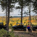 Woodland Park: 2 Hour Guided Wildlife Sunset UTV Tour - You Drive - Who Will Love This Tour?