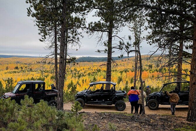 Woodland Park: 2 Hour Guided Wildlife Sunset UTV Tour - You Drive - Who Will Love This Tour?