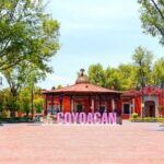 Xochimilco and Coyoacan and Frida Kahlo Museum optional - Optional Visit to Frida Kahlo Museum