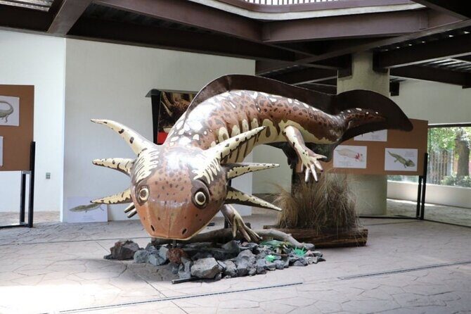 Xochimilco The island dolls and Axolotl museum from Mexico City - Relaxation at Frida Kahlo Park and Coyoacán’s Artisan Markets