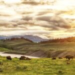 Yellowstone's Lamar Valley & Picnic With Wildlife Guide - Practical Considerations