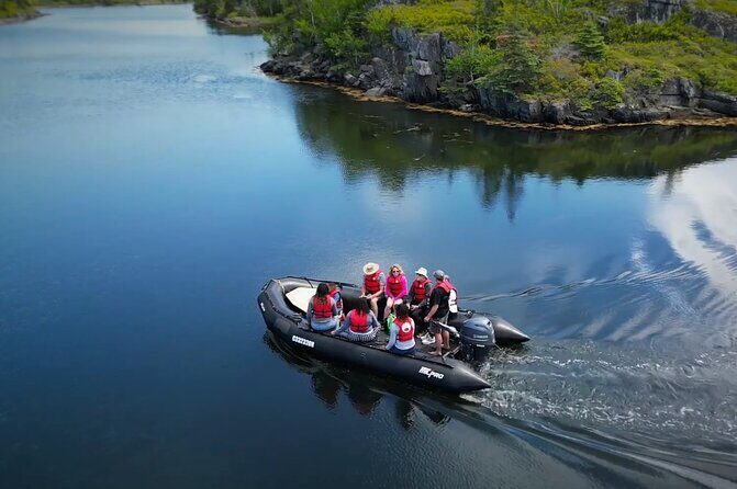 Zodiac Coastal Tour with Naturalist Guide: Lunenburg - Why This Tour is a Great Value