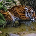 03 Days Private Wildlife Ranthambore Tiger Tour from Jaipur - The Itinerary: What to Expect Day by Day