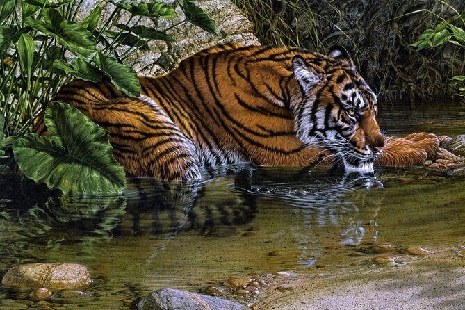 03 Days Private Wildlife Ranthambore Tiger Tour from Jaipur - The Itinerary: What to Expect Day by Day