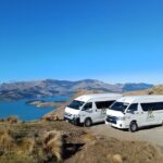 1/2-day Christchurch Scenic Highlights (Shore Excursion) - Authentic Insights from Reviewers