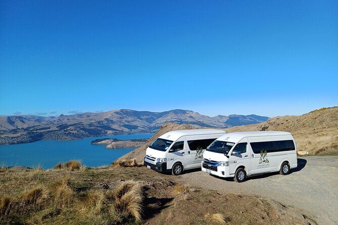 1/2-day Christchurch Scenic Highlights (Shore Excursion) - Authentic Insights from Reviewers  