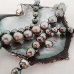 1/2 day "Treasures of Raiatea" by boat - ideal for cruise passengers - Practical Details and Experience