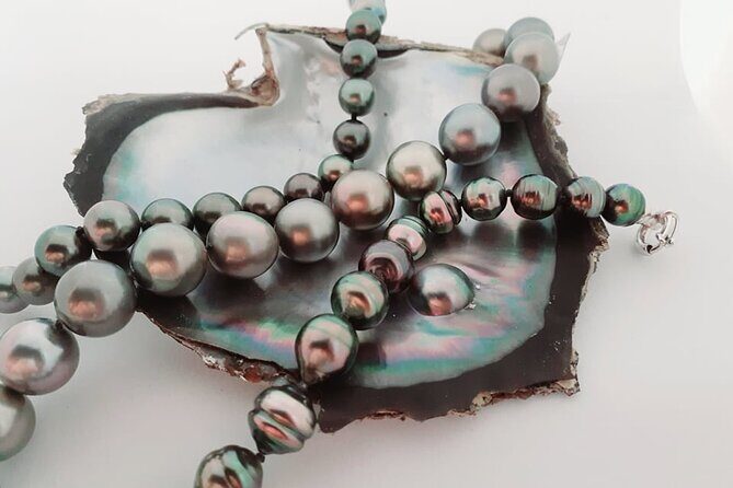 1/2 day "Treasures of Raiatea" by boat - ideal for cruise passengers - Practical Details and Experience