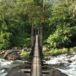 1 Day Activity Adventure Trekking Kerala - Wildlife & Local Culture: Elephant Zones & Tribal History