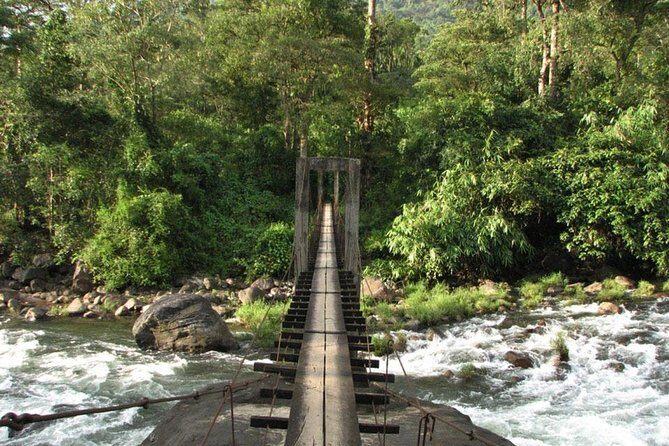 1 Day Activity Adventure Trekking Kerala - Wildlife & Local Culture: Elephant Zones & Tribal History