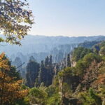 1 Day Avatar Mountain & Fores Park Group Tour with VIP Access - The Experience: What Sets It Apart