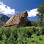 1 Day Coach Tour of Terelj National Park Including Lunch And Free Camel Ride - Who Is This Tour Perfect For?