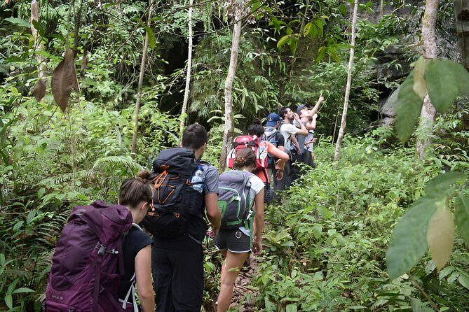 1 Day Experience of Bahorok - Why This Tour Offers Good Value