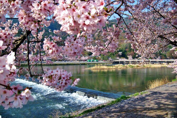 1 Day Kyoto UNESCO World Heritage Sites Bus Tour - The Sum Up