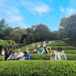 1 Day Matcha Farm Tour with Lunch and Bicycle Rental in Kyoto - Potential Drawbacks or Considerations