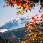 1-Day Mt Fuji and Hakone Sightseeing trip from Tokyo - What’s Included and What’s Not