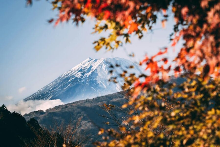 1-Day Mt Fuji and Hakone Sightseeing trip from Tokyo - What’s Included and What’s Not
