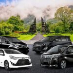 1-Day Private Bali Car Transfer With Experienced Driver - Why Choose the 1-Day Private Bali Tour?