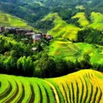 1 day private tour: Longji rice terraces & Huang Luo Yao villages - What Makes This Tour Stand Out?