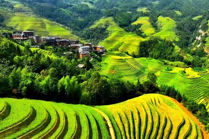 1 day private tour: Longji rice terraces & Huang Luo Yao villages - What Makes This Tour Stand Out?