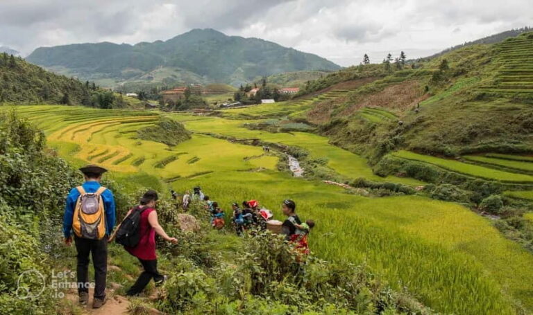 1-Day Sapa Long Trek - Rice Field Terrace, Ethnic Culture - An In-Depth Look at the Sapa Long Trek Experience
