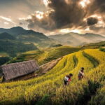 1 Day Sapa Tour Explore Y Linh Ho And Lao Chai And Ta Van Village - What’s Included and What to Consider