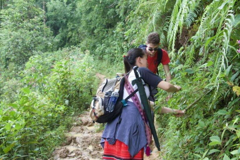 1 Day Sapa Trek&Home-cooked Lunch HmongSisterHouse&Trekking - Exploring the Itinerary: What to Expect