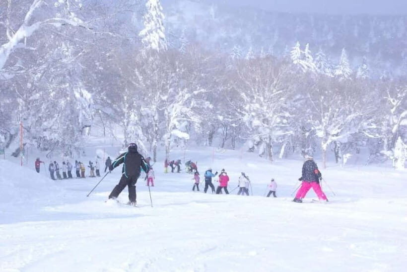 1-Day Ski Tour Package from Sapporo Station - What Makes the Bankei Ski Resort Special?