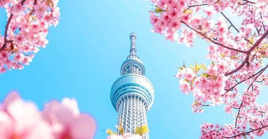 1-Day Tokyo Private Customizable Day Tour with a Guide - Practical Details & What To Expect