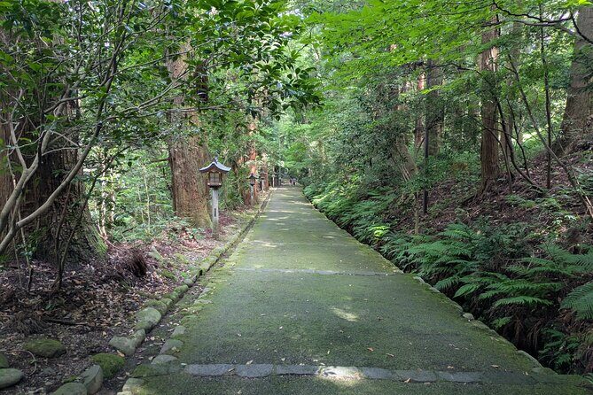 1 Day Tour from Kanazawa Tedori Gorge White Road and Shirakawa Go - Exploring Shirakawa-Go: A Living Museum