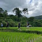 1 Day Trek and Bamboo Rafting Tour in Chiang Mai - What Reviewers Are Saying