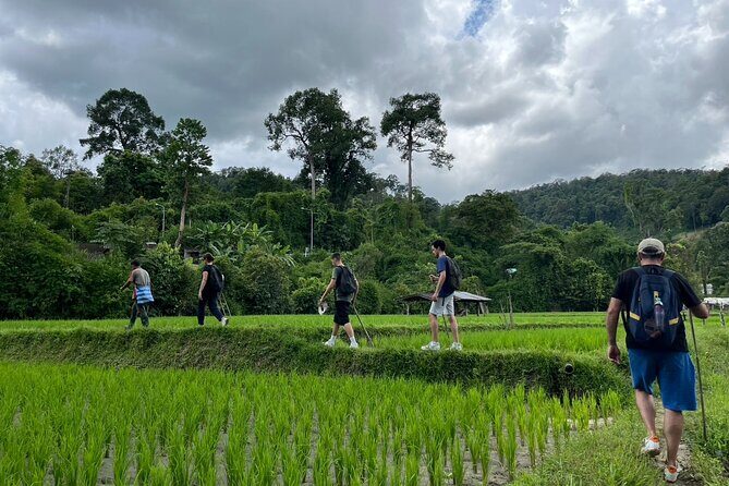 1 Day Trek and Bamboo Rafting Tour in Chiang Mai - What Reviewers Are Saying