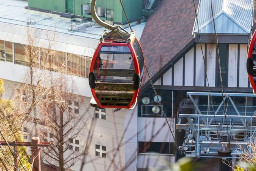 1-Day Walking Tour around Kobe : Mountains, Sea and Sake - Practical Details and What You Should Know