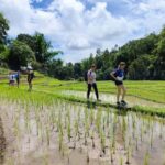1-Night Chiang Mai Mountain Mind Retreat - Good To Know