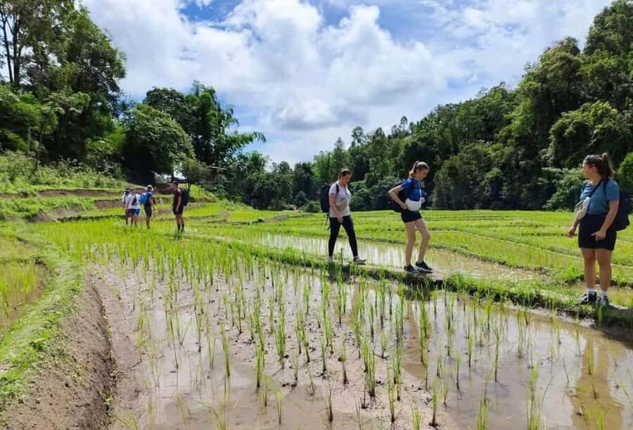 1-Night Chiang Mai Mountain Mind Retreat - Good To Know
