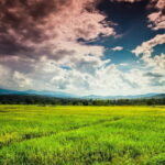 10 Day Motorcycle Tour (Amazing Thailand) from Chiang Mai - What Makes This Tour Stand Out?