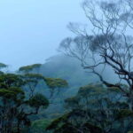 10-Day Tour in Galle, Yala, Ella, & Sigiriya with Train Ride - FAQ