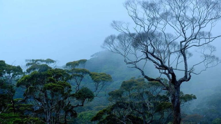 10-Day Tour in Galle, Yala, Ella, & Sigiriya with Train Ride - FAQ